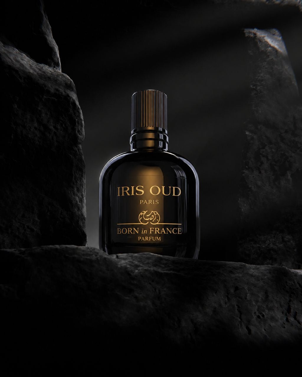 Iris Oud